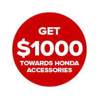 Pioneer 1000-3P Pioneer 1000-3P