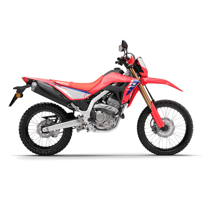 CRF300L