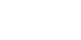 SHOWA® Suspension